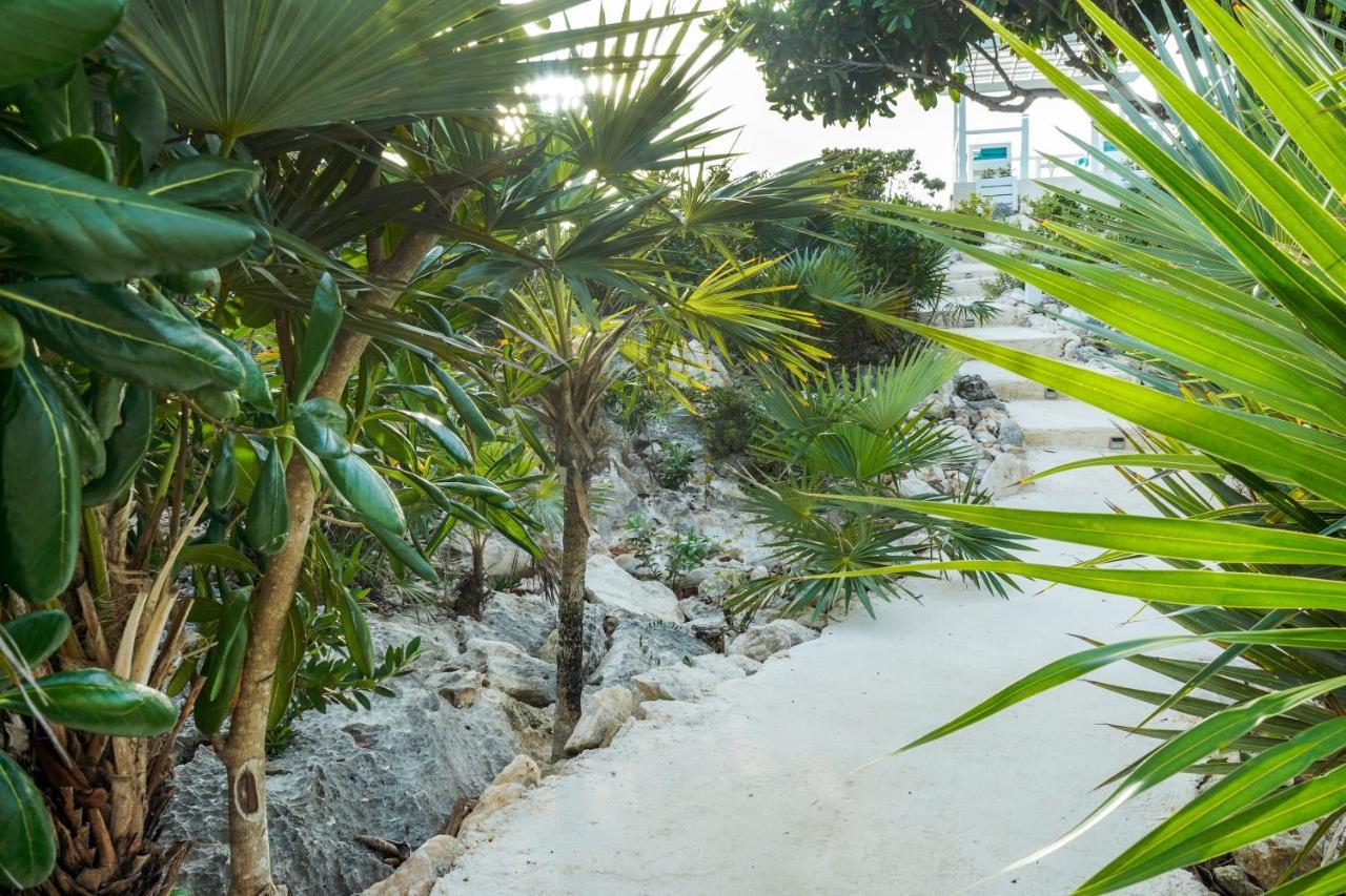 Modern Cottage With Chalk Sound Views Providenciales Exterior foto
